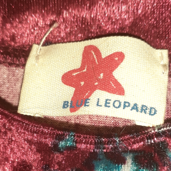 Red and Roses Velvet Top - Picture 2 of 3